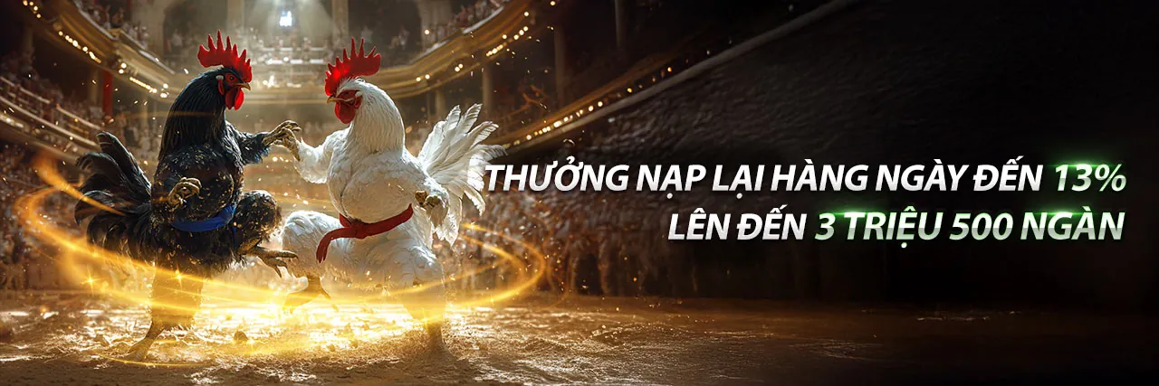 Banner khuyến mãi thành viên mới jdb777 login